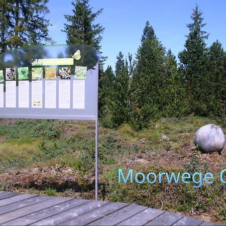 Ferienwohnung Schoene Auszeit Oy-Mittelberg Bagian luar foto